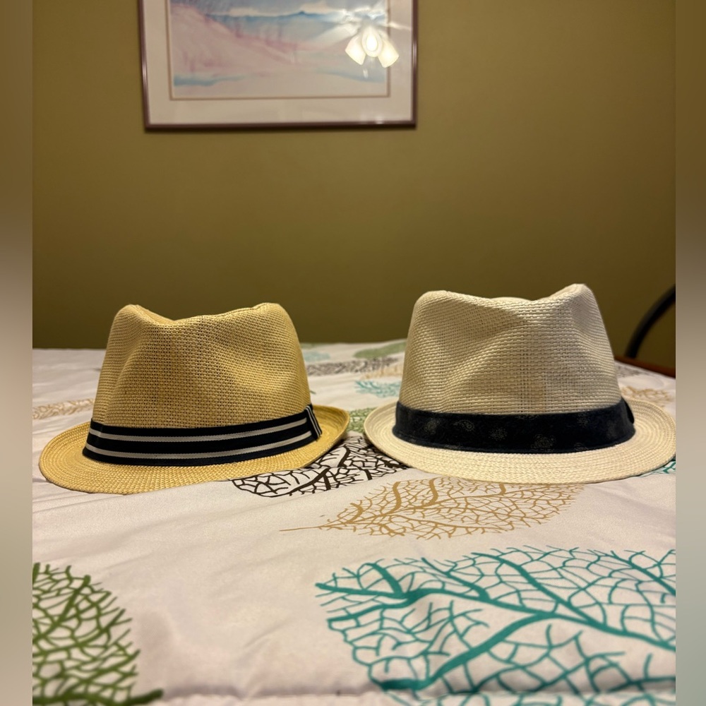 Daniel Cremieux Tan and White Fedora Hat Bundle
